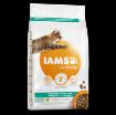 I27637 Iams Cat Light/Weight Control Chicken 10kg su vištiena paveikslėlis