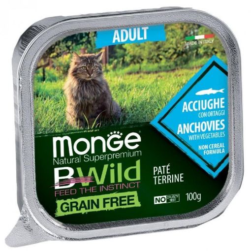 M12874 Monge BWILD Cat Grain Free Adult Anchovies (ančiuviai) and Vegetables 100 g paveikslėlis