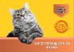 KA2708 Family Cat Adult Sterilized 10 kg paveikslėlis