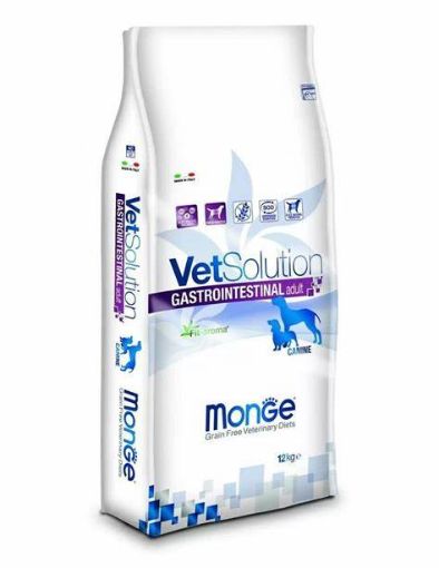 M81054 MONGE VetSolution Dog Gastrointestinal Adult 12 kg paveikslėlis