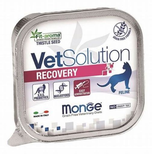 M14656 MONGE VetSolution Cat Wet Recovery 100 g paveikslėlis