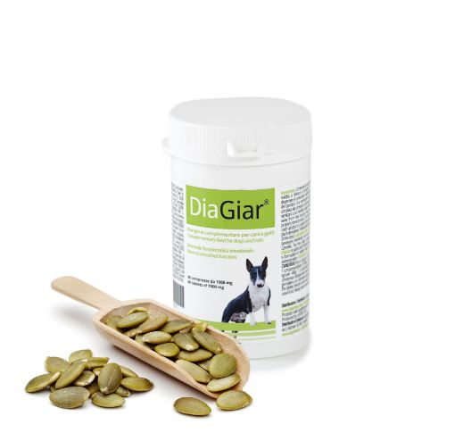 DG56510 DOGOTEKA DiaGiar 60 tabl. paveikslėlis