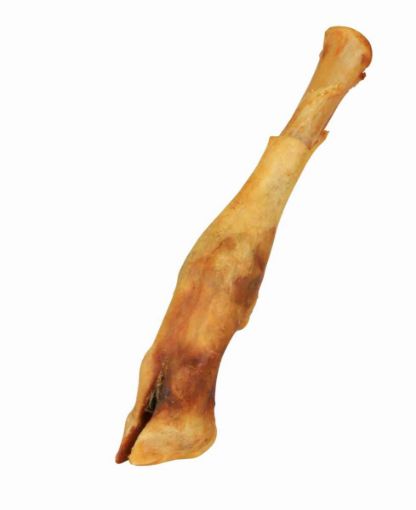 1.7_2740 TRIXIE Ėriuko koja džiovinta 16–18 cm !MIN.UŽS-10 (pak.20) paveikslėlis