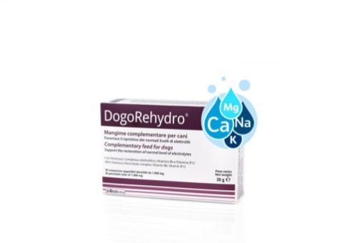 DG84618 DOGOTEKA DogoRehydro 30 tabl. paveikslėlis