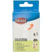 5.0_6001 TRIXIE Druska su laikikliu, 84 gr (pak.6) paveikslėlis