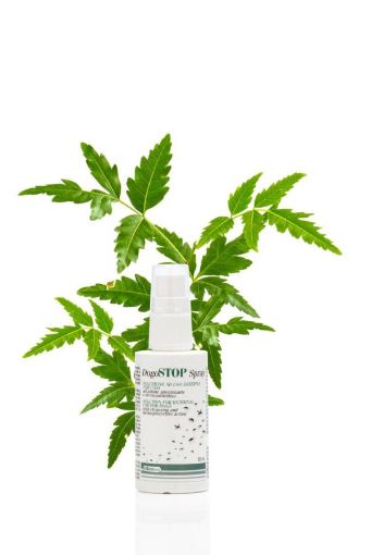 DG47924 DOGOTEKA DogoSTOP spray 50 ml PAO paveikslėlis