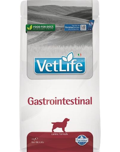F25289 FARMINA VET LIFE - DOG Dry GASTROINTESTINAL 2 kg (pak.4) paveikslėlis