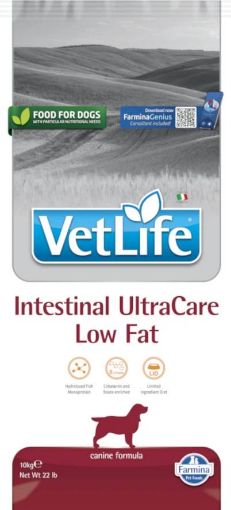F44792 FARMINA VET LIFE - DOG Dry INTESTINAL ULTRACARE LOW FAT 10 kg paveikslėlis