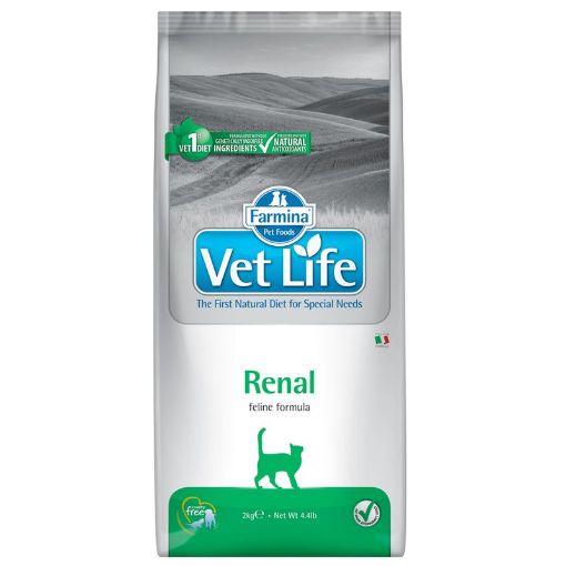 F25302 FARMINA VET LIFE - CAT Dry RENAL 2 kg (pak.4) paveikslėlis
