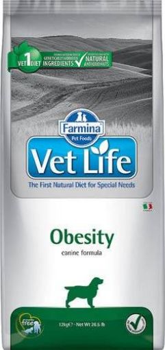 F25401 FARMINA VET LIFE - DOG Dry OBESITY 12 kg paveikslėlis