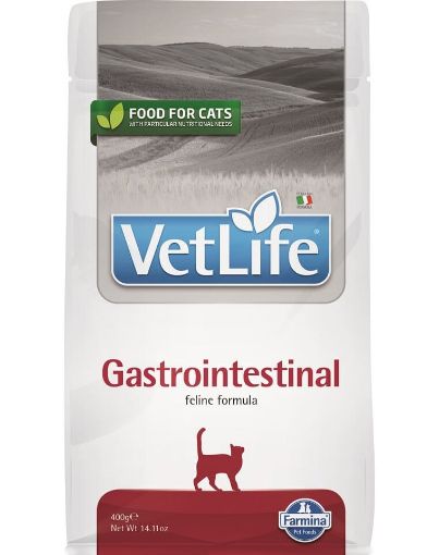 F25197 FARMINA VET LIFE - CAT Dry GASTRO-INTESTINAL 400 gr (pak.16) paveikslėlis