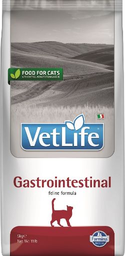 F31853 FARMINA VET LIFE - CAT Dry GASTRO INTESTINAL 5 kg paveikslėlis