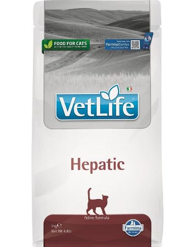 F30399 FARMINA VET LIFE - CAT Dry HEPATIC 2 kg (pak.4) paveikslėlis