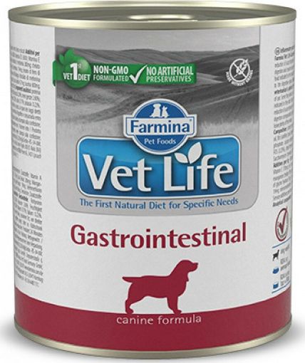 F02796 FARMINA VET LIFE - DOG Wet GASTROINTESTINAL 300 gr (pak.16) paveikslėlis