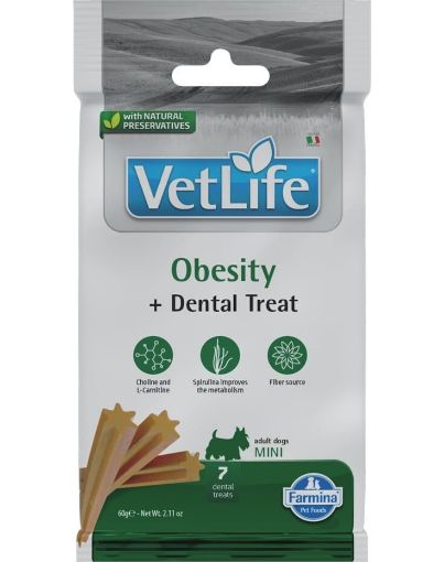 F43115 FARMINA  VET LIFE - DOG TREAT - OBESITY ADULT MINI 60 g paveikslėlis