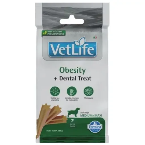 F43306 FARMINA  VET LIFE - DOG TREAT - OBESITY ADULT MED&MAX 100 g paveikslėlis