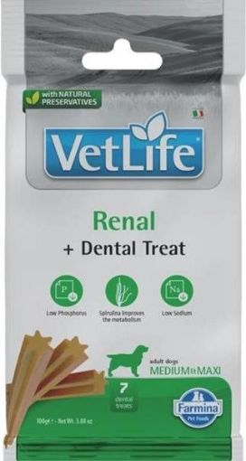 F43290 FARMINA  VET LIFE - DOG TREAT - RENAL ADULT MED&MAX 100 g paveikslėlis