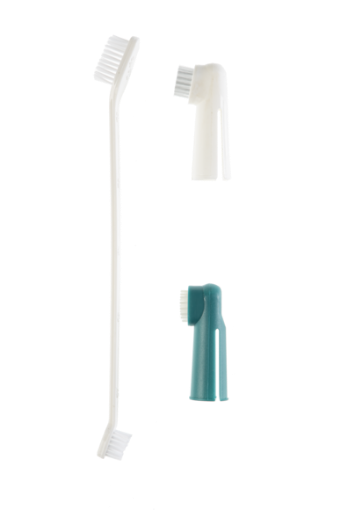 57550BV Gimdog Tooth Brushes Set šunų dantų šepetėlių rink. paveikslėlis