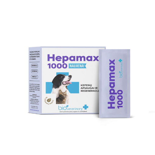 B15488 bioVETERINARY Hepamax 1000, N28 paveikslėlis