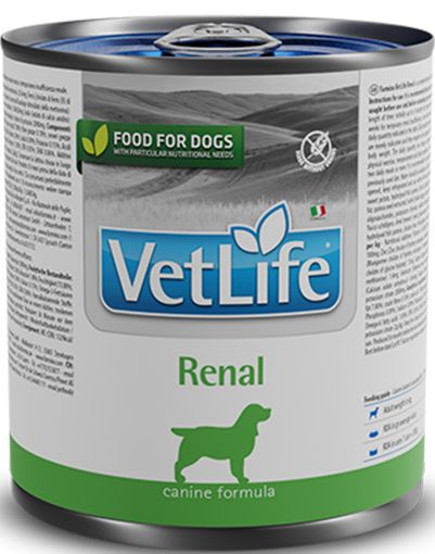 F02826 FARMINA VET LIFE - DOG Wet RENAL 300 gr (pak.16) paveikslėlis
