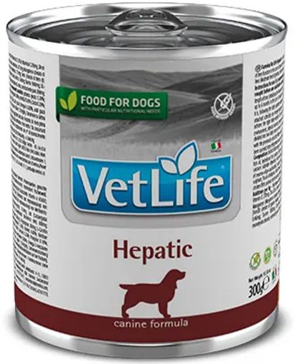 F06381 FARMINA VET LIFE - DOG Wet HEPATIC 300 gr (pak.16) paveikslėlis