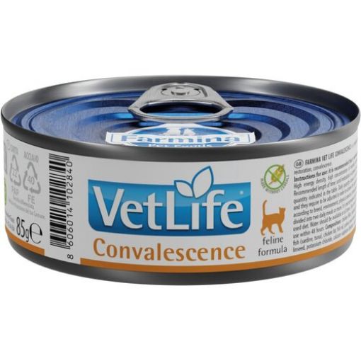 F02840 FARMINA VET LIFE - CAT Wet CONVALESCENCE 85 gr (pak.12) paveikslėlis