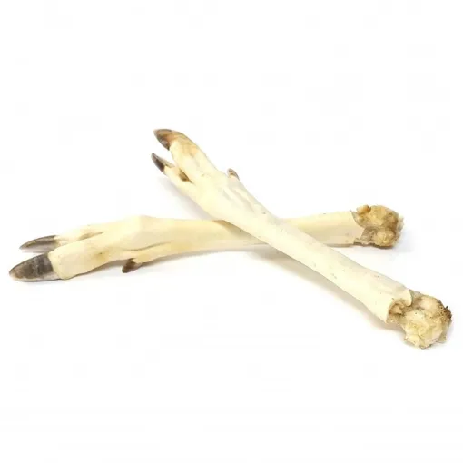 A59007 Stirnos kojos baltos 5vnt. paveikslėlis