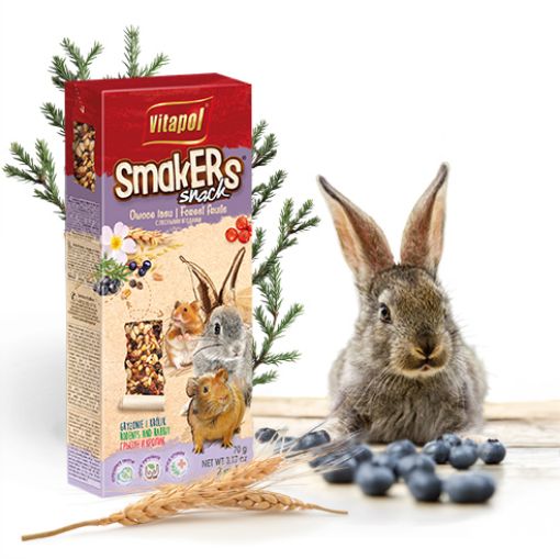 V11107 Vitapol Smakers® graužikams su miško uogomis 2vnt. paveikslėlis