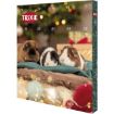 TRX_9270 TRIXIE Xmas Advento kalendorius smulkiems gyvūnams, 30 × 34 × 3.5 cm paveikslėlis