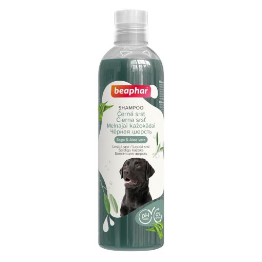 B138401 Beaphar Black Coat Shampoo Dog, 250ml (pak6) paveikslėlis