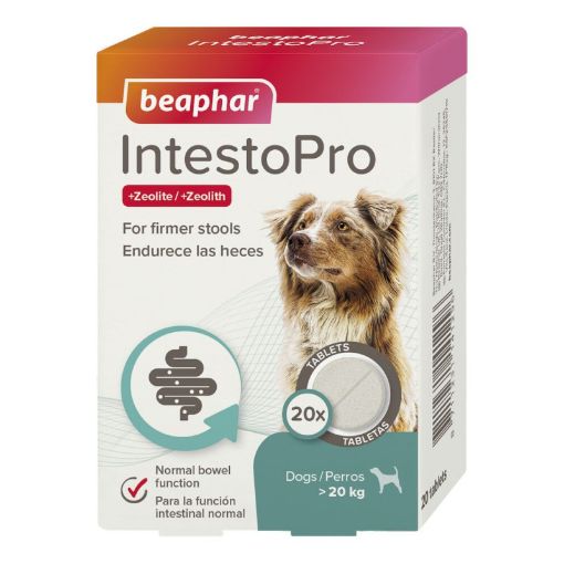 B141296 Beaphar INTESTOPRO TAB L DOG 20tab (pak4) paveikslėlis