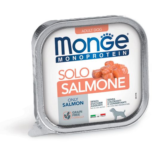 M14748 Monge Monoproteico Solo - Wet Dog Pate 100% Salmon 150g (pak24) paveikslėlis