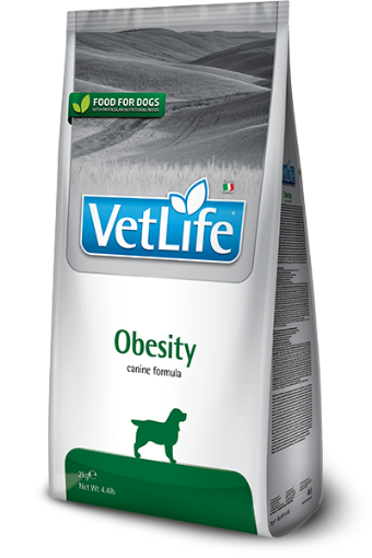 F06398 FARMINA VET LIFE - DOG Wet OBESITY 300 gr (pak.16) paveikslėlis